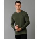 Cavallo By Linen Club Men's Knitted Cotton Linen Green Solid Crew Neck Sweatshirt