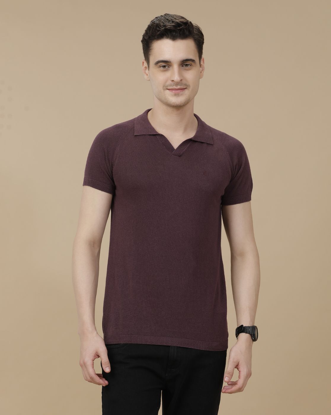 CAVALLO by Linen Club Men's Linen Cotton Purple Solid Contemporary Fit Half Sleeve Polo Neck T-Shirt