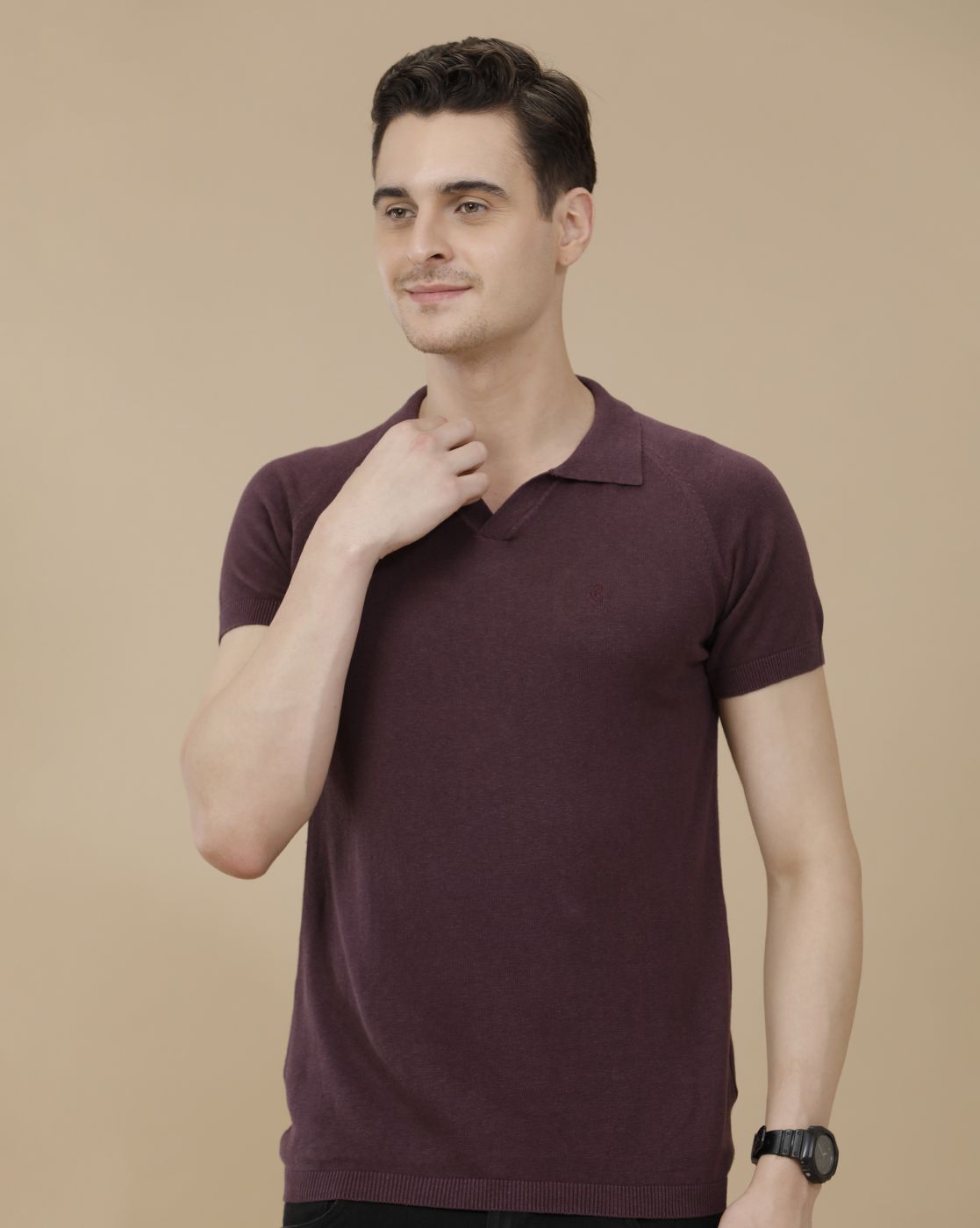 CAVALLO by Linen Club Men's Linen Cotton Purple Solid Contemporary Fit Half Sleeve Polo Neck T-Shirt