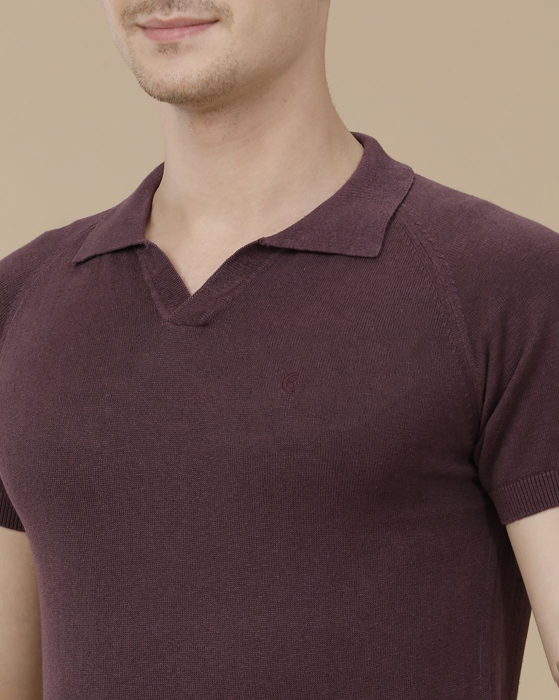 CAVALLO by Linen Club Men's Linen Cotton Purple Solid Contemporary Fit Half Sleeve Polo Neck T-Shirt