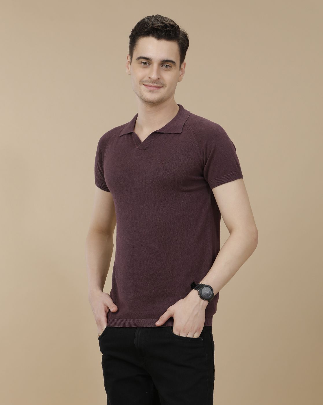 CAVALLO by Linen Club Men's Linen Cotton Purple Solid Contemporary Fit Half Sleeve Polo Neck T-Shirt