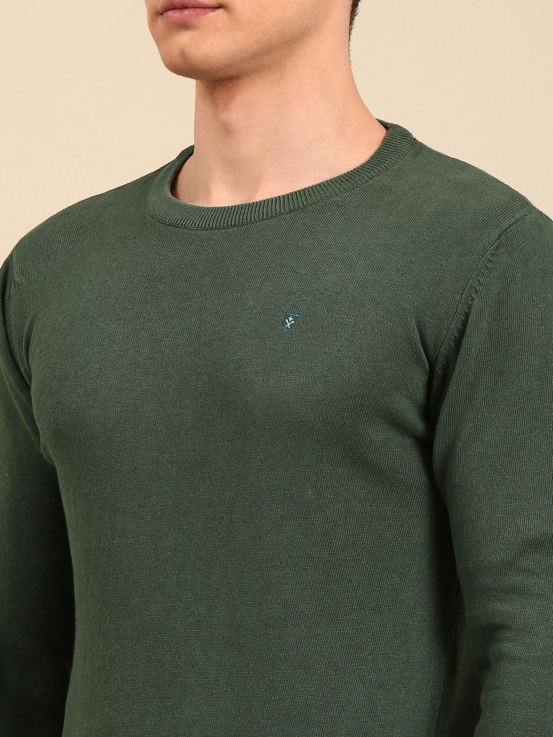 Linen Club Men's Linen Rich Green Solid Contemporary Fit Full Sleeve Round Neck T-Shirts