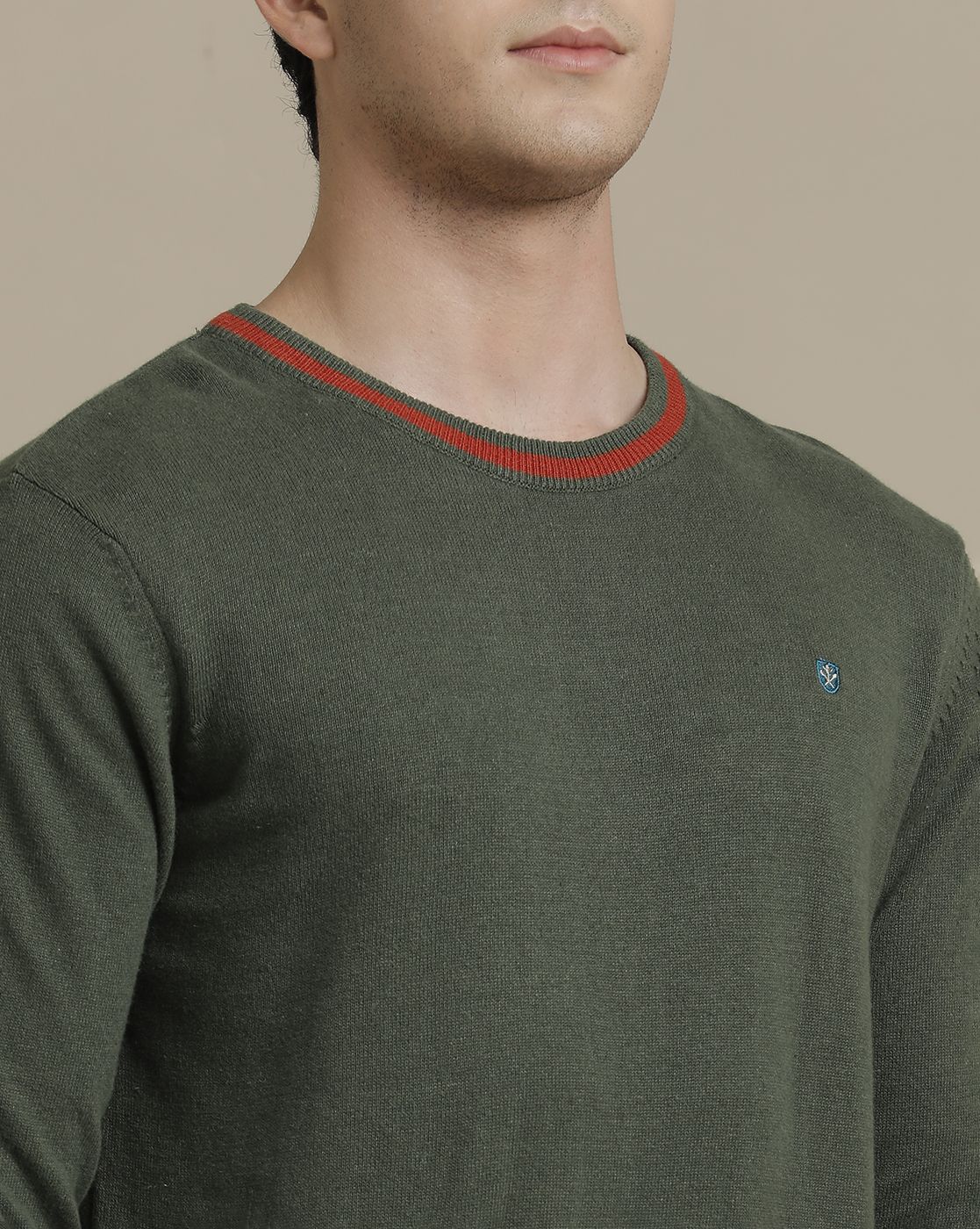 Linen Club Flat Knit Crew Neck Green Solid Full Sleeve T-shirt for Men