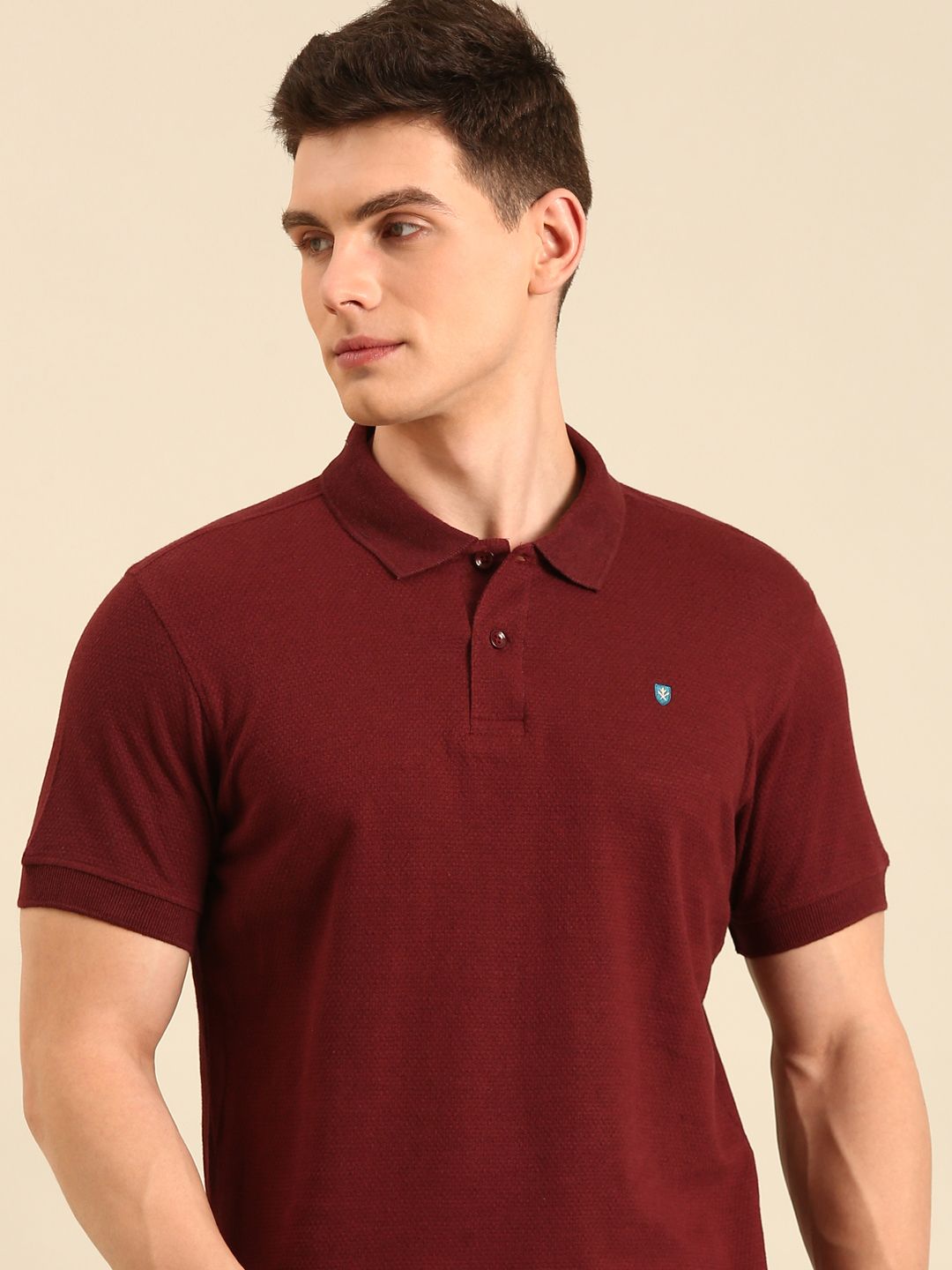 Linen Club Men's Linen Rich Maroon Solid Contemporary Fit Half Sleeve Polo Neck T-shirt