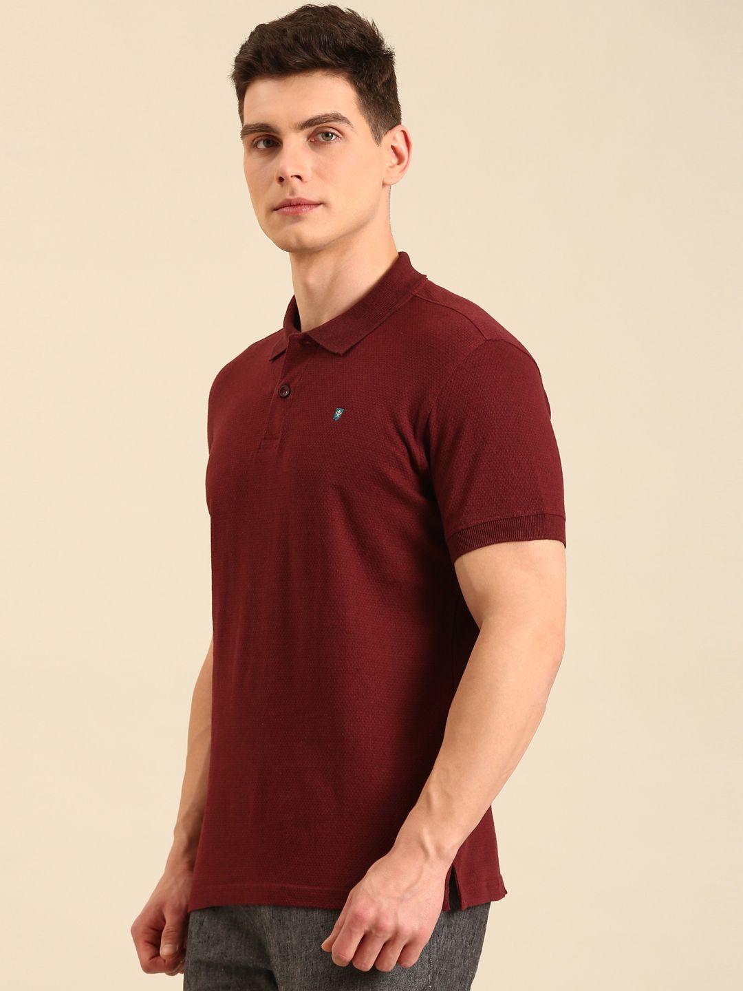 Linen Club Men's Linen Rich Maroon Solid Contemporary Fit Half Sleeve Polo Neck T-shirt