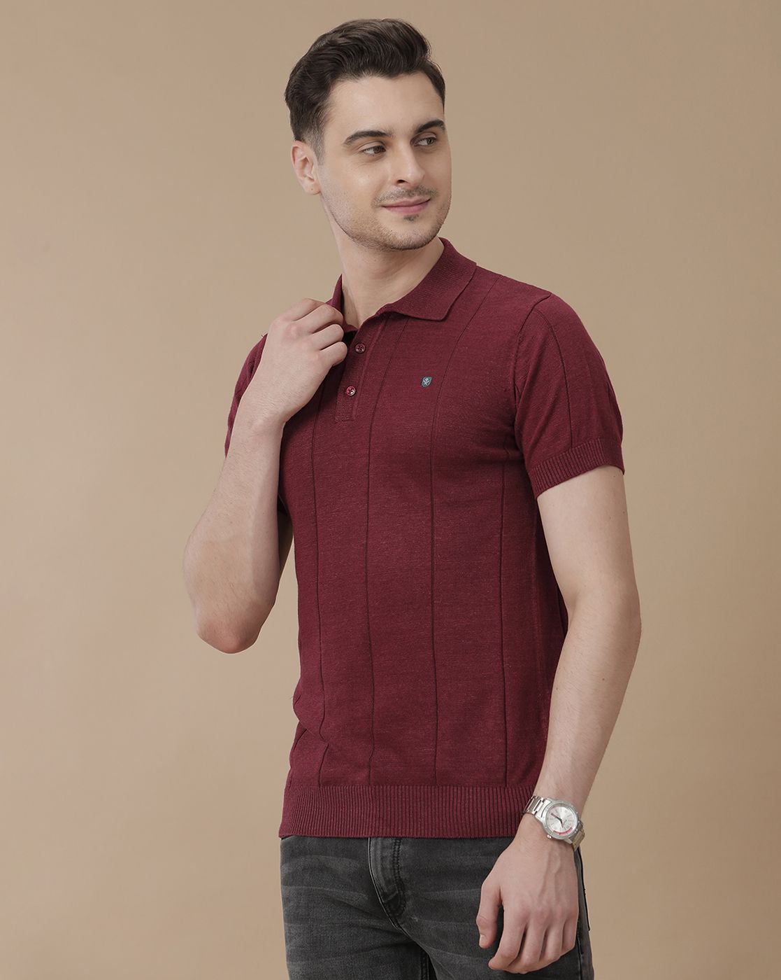 Men's Premium Blended Linen Red Striped Contemporary Fit Half Sleeve Polo Neck Casual T-Shirt