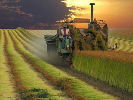 tracktor tracktor